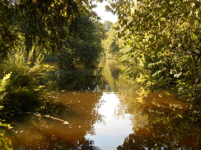 Edge of Cannock Chase